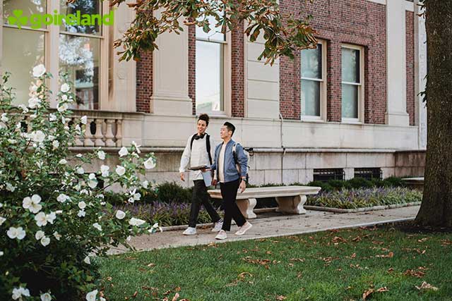 Brand Management Admission Requirements