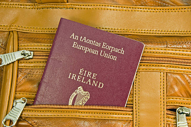 Critical Skills Employment Permit for Ireland: The Complete Guide
