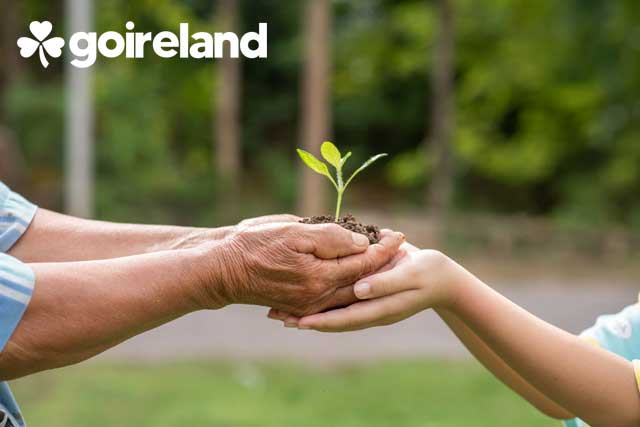 Environmental Engineering in Ireland