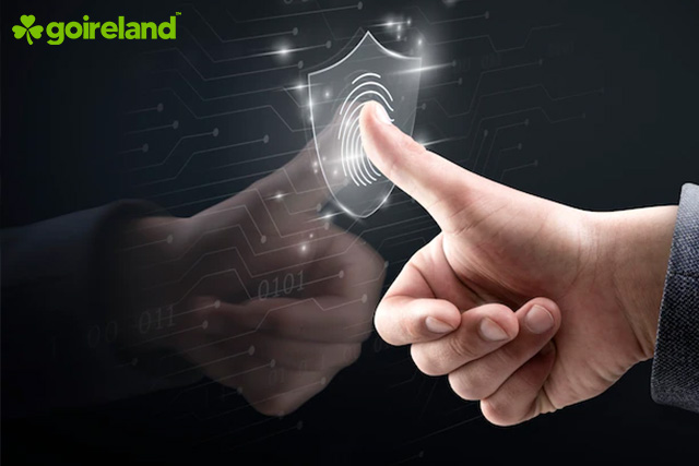 Information Security in Ireland