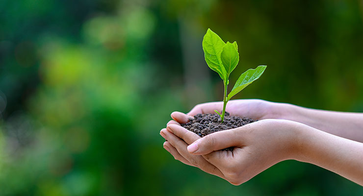 MS in Sustainable Management in Ireland