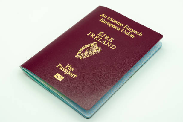 Visa Rules for Changing Jobs in Ireland