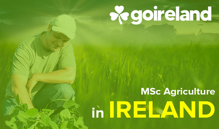 Masters in Agriculture in Ireland