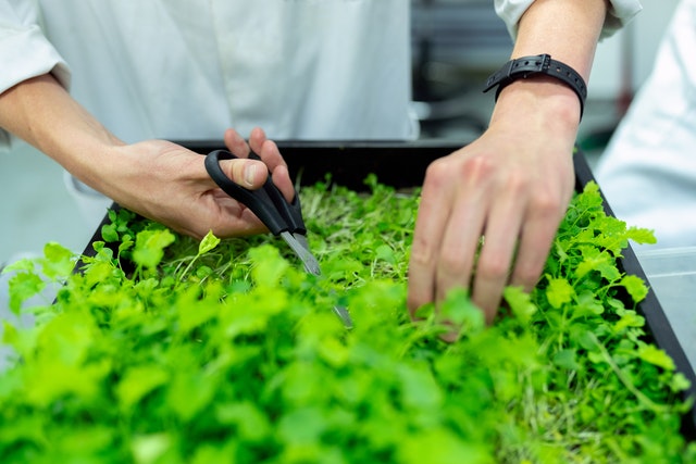 Sustainable Management Course in Ireland