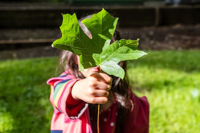 Environmental Science Scope