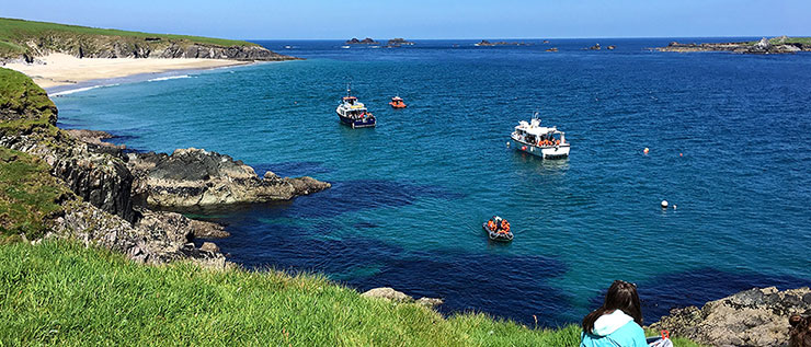 MS in Marine Science in Ireland