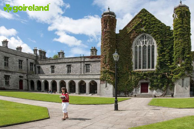 Architecture Universities